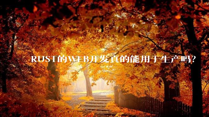RUST的WEB开发真的能用于生产吗？