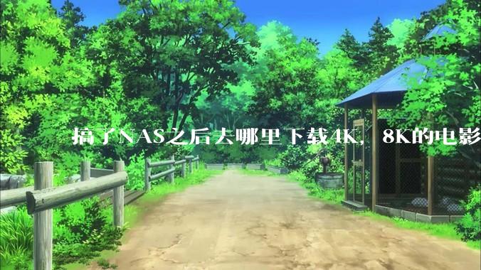 搞了NAS之后去哪里下载4K，8K的电影？