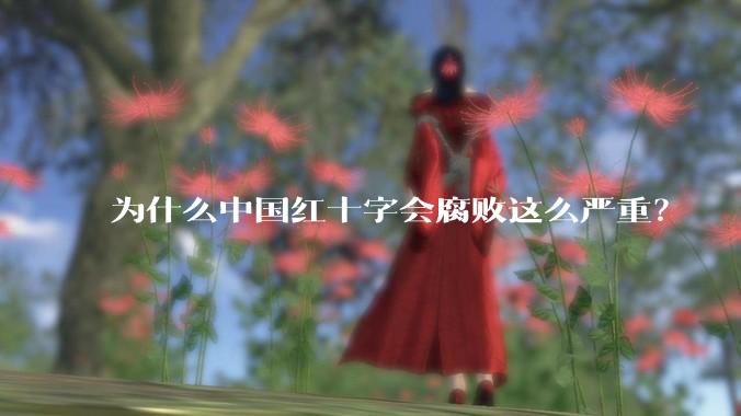 为什么中国红十字会腐败这么严重？