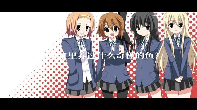 你的鱼缸里养过什么奇怪的鱼？