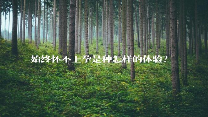 始终怀不上孕是种怎样的体验？