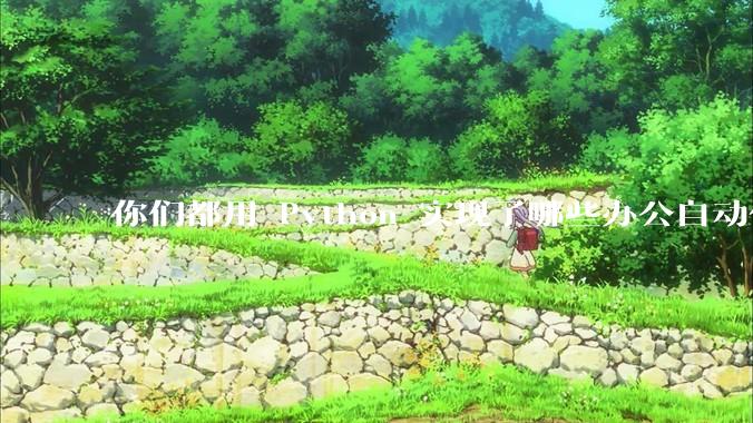 你们都用 Python 实现了哪些办公自动化？