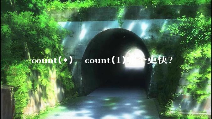 count(*)  count(1)哪个更快？